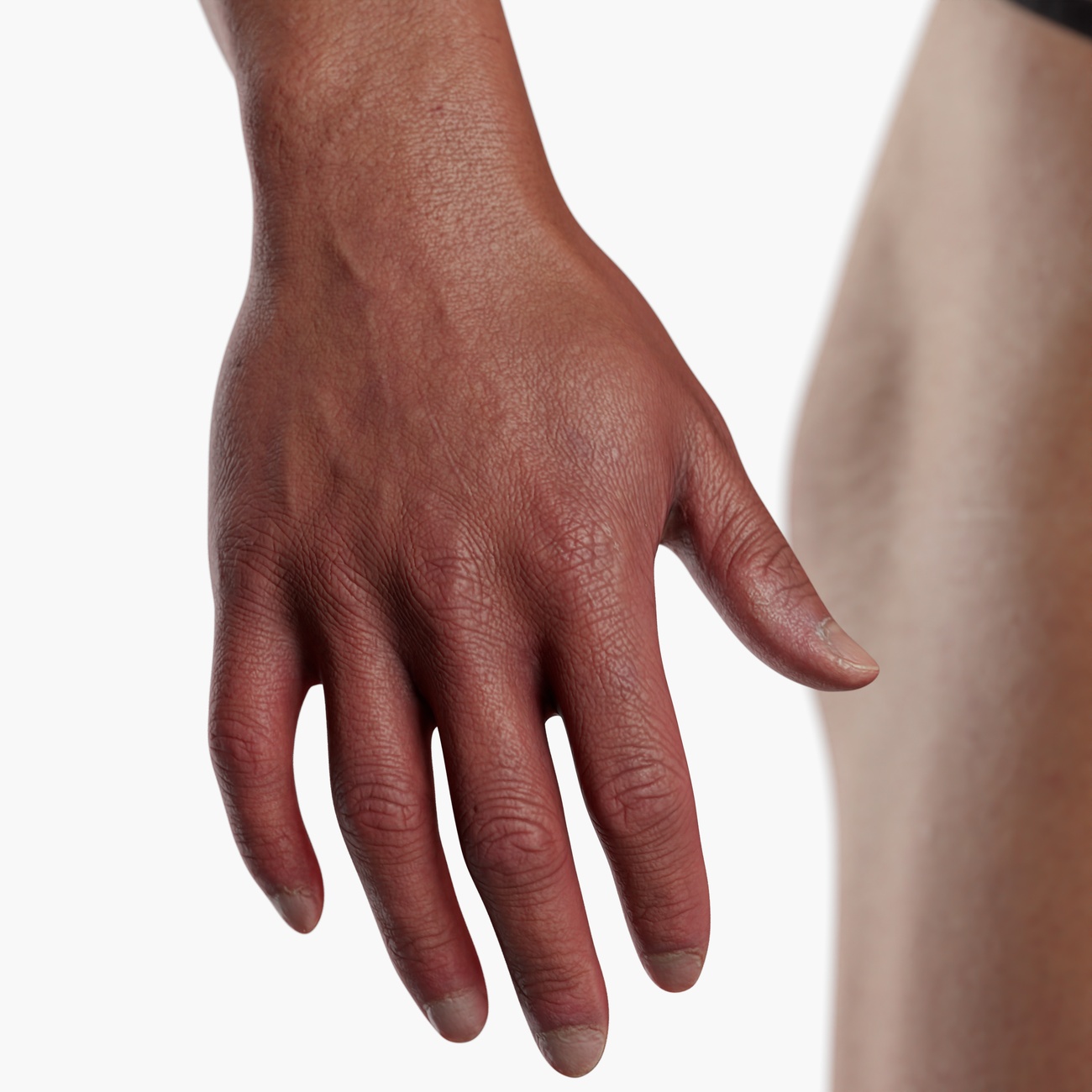 Detailed 3D scan render of a male hand showing finger anatomy, knuckle detail and high-resolution skin surface